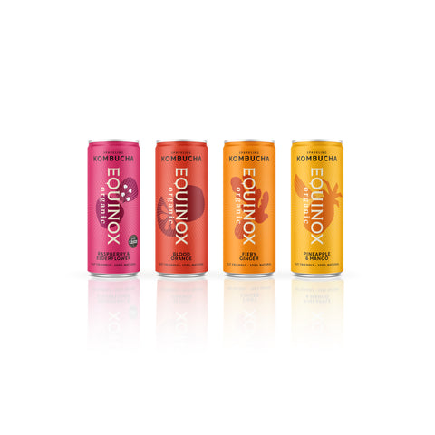 Equinox Kombucha Cans Multi-pack Ambient