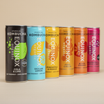 Equinox Kombucha Cans Multi-pack Ambient