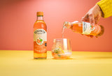 Equinox Kombucha Pink Grapefruit & Guava
