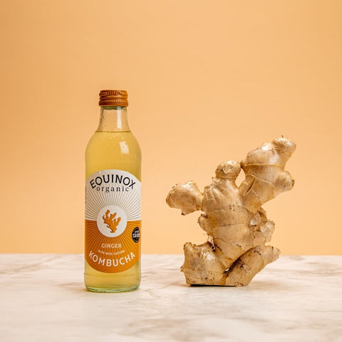 Equinox Kombucha Ginger