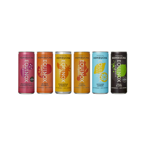 Equinox Kombucha Cans Multi-pack Ambient